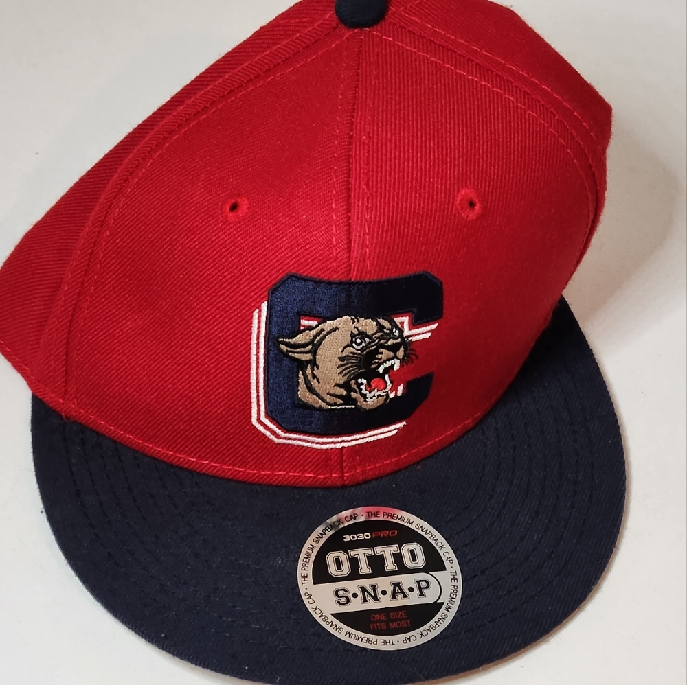 Otto Snapback Hat 3030 Pro